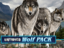 Untamed Wolf Pack